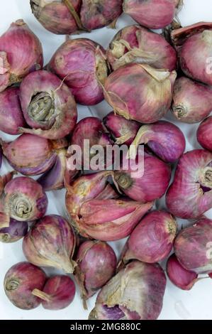 Zu den nahen Verwandten von Bawang Merah oder Schalotten gehören Zwiebeln, Lauch, Chive, walisische Zwiebeln und chinesische Zwiebeln. Mit Ausgewähltem Fokus Stockfoto