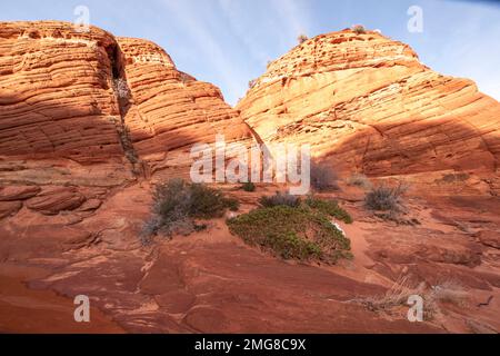 Man braucht eine Genehmigung für die Wanderung zum The Wave in der Paria Canyon/Vermillion Cliffs Wilderness in Utah und Arizona. Stockfoto