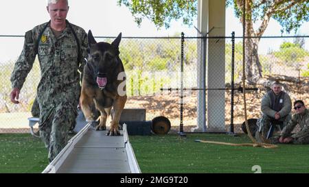 220822-N-BW566-1045- GUANTANAMO BAY, Kuba (22. August 2022) Master-at-Arms 2. Klasse Daniel Crawford, ein militärisch arbeitender Hund, führt Bobo, einen Militär arbeitenden Hund, während des Trainings an Bord der Marinestützstelle Guantanamo Bay, Kuba, eine Rampe hinunter. Militärisch arbeitende Hunde bieten wichtige Funktionen wie Durchsuchung und Bergung, Durchsuchung von Sprengstoffen und verdächtige Festnahmen während der gesamten Anlage. Marinestützpunkt Guantanamo Bay ist die vorwärtsgerichtete, einsatzbereite, unersetzliche US-Meereskraftplattform in der Karibik. Stockfoto