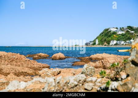 Blick auf die Island Bay auf das Meer und den Horizont in Wellington, Neuseeland Stockfoto