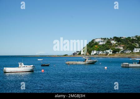 Blick auf die Island Bay auf das Meer und den Horizont in Wellington, Neuseeland Stockfoto