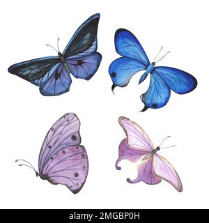 Blauer und violetter Schmetterling mit detaillierten Flügeln auf weißem Hintergrund. Aquarell handgezeichnete realistische Insektenlustration für Design-Banner, Stockfoto