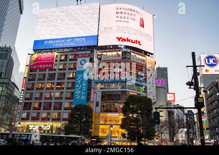 Tokio, Japan. 24. Januar 2023. Shibuya Scramble am Abend. Shibuya Scramble Crossing (æ¸ è°·Ã‚¹ã‚¯ãƒ © ãƒ³ãƒ-ãƒ«äor  LW AT  ¤å·‚¹) ist eine geschäftige Fußgängerzone im Herzen von Shibuya, Tokio. Es ist bekannt für seine großen Menschenmassen, die in alle Richtungen gleichzeitig durchqueren und so eine Sackgasse erzeugen. Es ist eine der bekanntesten und geschäftigsten Kreuzungen der Welt und A ist ein wichtiges Touristenziel. Der Bahnhof JR East Shibuya wurde während der gewerblichen Immobilienentwicklung von Eisenbahnunternehmen und Tokyu Corporation umfassend renoviert. Das Konstrukt Stockfoto