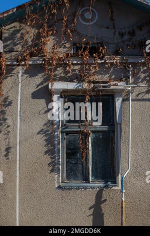 Ein altes altmodisches Holzfenster mit abblätternder Farbe und Rahmen müssten repariert oder ersetzt werden. Stockfoto