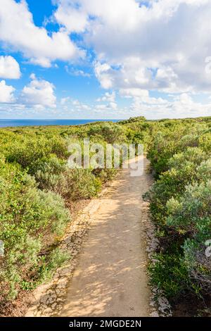 Einheimische Vegetation auf dem Lighthouse Loop Walk Trail im Leeuwin-Naturaliste National Park, Cape Naturaliste, Westaustralien Stockfoto