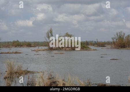 Flugzeuge - Sandsäcke - 26-HK-57-82. Marschland am Ufer --050929. Hurrikan Katrina Stockfoto