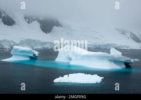 Eisberge, jeder ganz individuell, wie handgefertigte Eisskulpturen, schweben leise über das Meer der Antarktis. Stockfoto