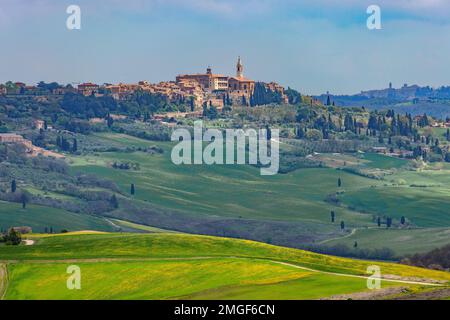 Blick in Richtung Pienza auf einem Hügel im Val d'Orcia in der Toskana, Italien. Stockfoto