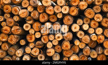 Wunderschönes Holz, das in einem Muster gehalten wird, was einen schönen Hintergrund schafft, Aufbewahrungsort für Holzstämme, Stapel von Holzstämmen. Natürlicher Holzhintergrund mit Holz. Holzwand Stockfoto