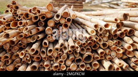 Wunderschönes Holz, das in einem Muster gehalten wird, was einen schönen Hintergrund schafft, Aufbewahrungsort für Holzstämme, Stapel von Holzstämmen. Natürlicher Holzhintergrund mit Holz. Holzwand Stockfoto