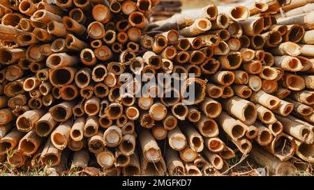 Wunderschönes Holz, das in einem Muster gehalten wird, was einen schönen Hintergrund schafft, Aufbewahrungsort für Holzstämme, Stapel von Holzstämmen. Natürlicher Holzhintergrund mit Holz. Holzwand Stockfoto