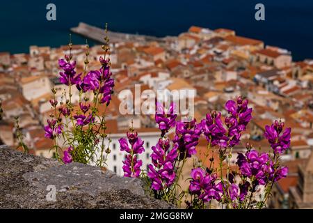 Luftaufnahme des Zentrums der mittelalterlichen Stadt Cefalu an der Küste, vom Felsen Rocca di Cefalù aus gesehen. Stockfoto