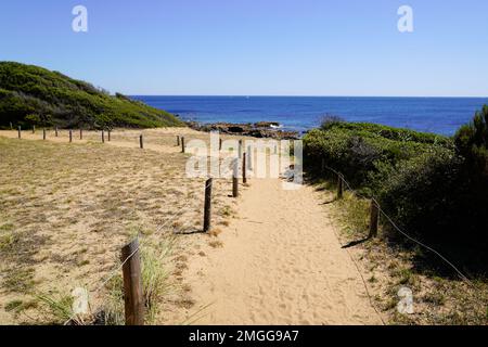 Landschaftlich reizvoller Zugang zum Atlantikstrand in Sanddünen im französischen Ozean Talmont-Saint-Hilaire Stockfoto