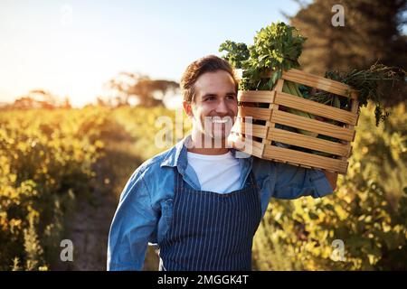 Eine fruchtbare Last zu tragen. Gekürztes Porträt eines gutaussehenden jungen Mannes, der eine Kiste voller frisch gepflückter Produkte auf einem Bauernhof hält. Stockfoto