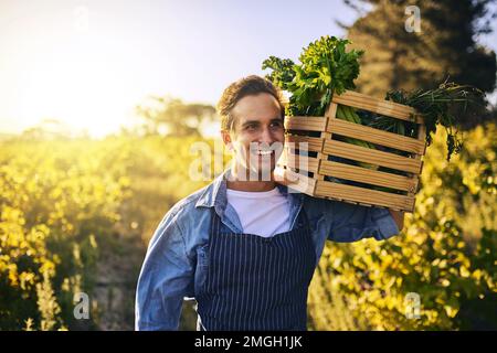 Eine fruchtbare Last zu tragen. Ein junger Mann, der eine Kiste voller frisch gepflückter Produkte auf einem Bauernhof hält. Stockfoto