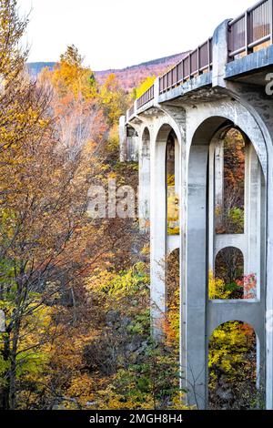 Eine faszinierende farbenfrohe stimmungsvolle Landschaft mit Fußgängerbrücke über die felsige Bergschlucht und dem herbstlichen Maple Grove mit bunten Blättern in der Sonne Stockfoto