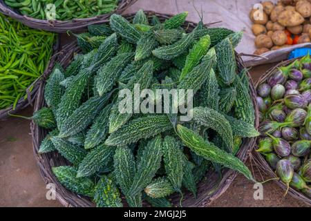 Bitter Gourd, auch Karela in Hindi genannt, ist ein sehr nahrhaftes Gemüse, das auf einem indischen Markt verkauft wird Stockfoto