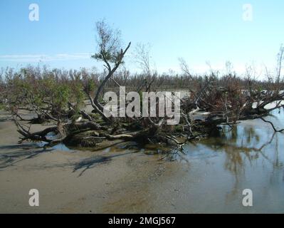 Material von Vizeadmiral Allen - Pilottown - 26-HK-373-7. Hurrikan Katrina Stockfoto