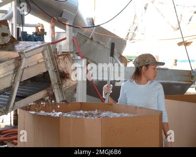 Material von Vizeadmiral Allen - Pilottown - 26-HK-373-45. Hurrikan Katrina Stockfoto