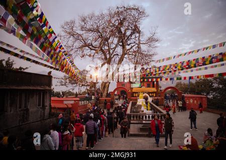 Kathmandu, Nepal. 26. Januar 2023. Anhänger versammeln sich während des Saraswati Puja Festivals, um ihr Gebet zu sprechen. Basantapanchami, oder Saraswati Puja, ist ein Tag, an dem Studenten Saraswati, die Göttin des Wissens und des Lernens, anbeten. An diesem Tag erhalten auch kleine Kinder ihren ersten Lese- und Schreibunterricht. Kredit: SOPA Images Limited/Alamy Live News Stockfoto