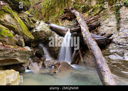 Wunderschöner Blick auf die Wasserfalllandschaft. Kleiner Wasserfall in tiefgrüner Waldlandschaft. Sotschi, russische Natur Stockfoto