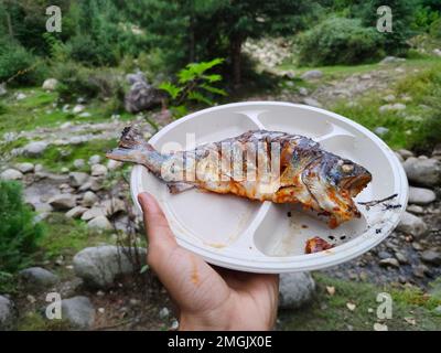 Manali, Himachal Pradesh, Indien - 01. September 2021 : frischer Fisch, gegrillt über dem Lagerfeuer, einheimisches Leben in den Bergen Stockfoto