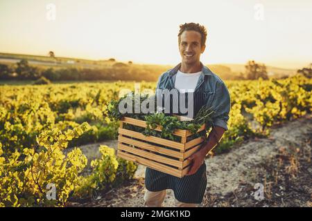 Die Früchte einer gesunden Ernte ernten. Ein junger Mann, der eine Kiste voller frisch gepflückter Produkte auf einem Bauernhof hält. Stockfoto