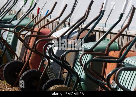 Eine Reihe von Schubkarren in verschiedenen Farben, die sich gegen einen Gartenschuppen lehnen. Stockfoto