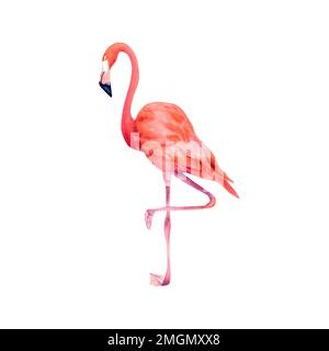 Rosa Flamingo auf isoliertem Hintergrund. Tropische Vögel. Exotische Vögel. Flamingos auf isoliertem Hintergrund. Aquarelldarstellung Stockfoto
