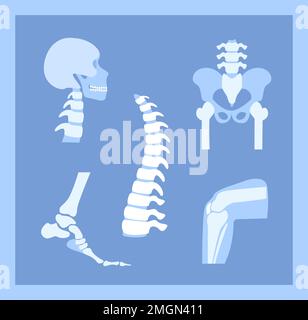 Rheumatoide Arthritis, Schmerzen, Knochenerkrankungen Konzept.Set mit Hals Halswirbelsäule, Wirbelsäule, Knie, Knöchel und anderen Gelenksymbolen.Teile des menschlichen Körpers, Anato Stockfoto