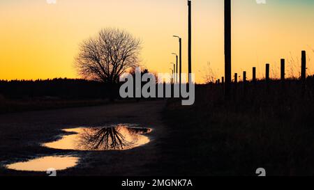 Die Silhouette eines Baumes spiegelt sich in der Wasserpfütze vor dem goldenen Sonnenuntergang wider Stockfoto