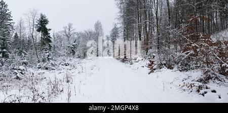 Schneebedeckte Wege im Teutoburger Wald Stockfoto