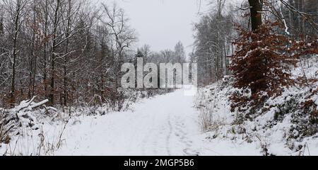 Schneebedeckte Wege im Teutoburger Wald Stockfoto