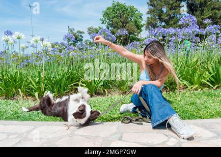 Junge latinatin sitzt im Park mit ihrem Hund, der spielt und Tricks macht, mit ausgestreckter Hand und dem Hund, der auf ihrem Rücken liegt, in einem Unterwürfigkeit Stockfoto