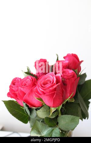 Eine vertikale Nahaufnahme wunderschöner Rosen, isoliert auf weißem Hintergrund Stockfoto