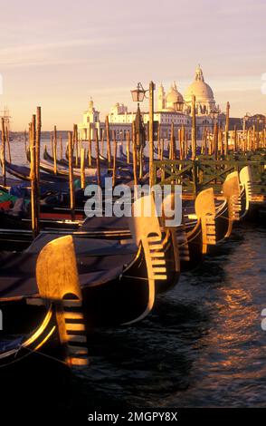 Italien, Venedig, Gondeln am Molo San Marco mit Santa Maria della Salute im Hintergrund Stockfoto