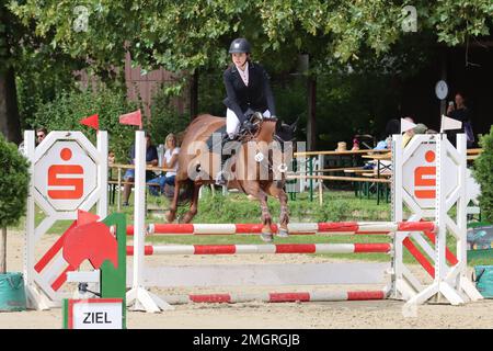 Offizielle Show-Jumping-Turniere in deutschland Stockfoto