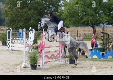 Offizielle Show-Jumping-Turniere in deutschland Stockfoto