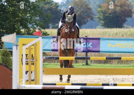 Offizielle Show-Jumping-Turniere in deutschland Stockfoto