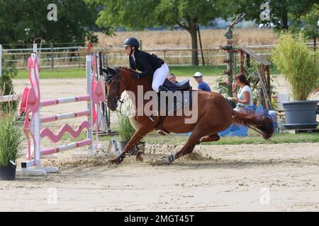 Offizielle Show-Jumping-Turniere in deutschland Stockfoto