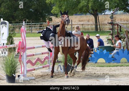 Offizielle Show-Jumping-Turniere in deutschland Stockfoto