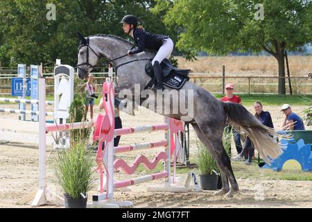 Offizielle Show-Jumping-Turniere in deutschland Stockfoto