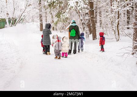 Im Winter. Süße Vorschulgruppe aus Kindergarten und 2 Kindergärtnern auf Walk-in-Forest. Aktiver Outdoor-Lifestyle, Lern- und Spielkonzept Stockfoto