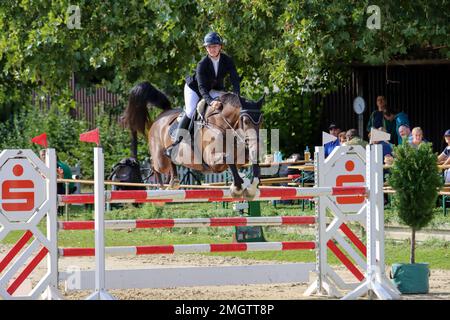 Offizielle Show-Jumping-Turniere in deutschland Stockfoto