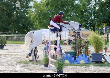 Offizielle Show-Jumping-Turniere in deutschland Stockfoto