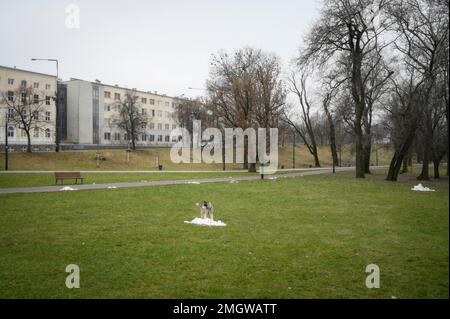 Warschau, Polen. 25. Januar 2023. Am 26. Januar 2022 wird im Park Praski in Warschau, Polen, ein Husky-Hund mit einem Haufen lefenschnee gesehen. Mehr als 500 Ideen wurden von den Bürgern für den jährlichen partizipativen Haushalt der Stadt Warschau eingereicht. Seit 2015 wird den Bürgern jedes Jahr die Möglichkeit geboten, Vorschläge für Projekte einzureichen, sofern sie von mindestens 20 weiteren Einwohnern unterstützt werden. (Foto: Jaap Arriens/Sipa USA) Guthaben: SIPA USA/Alamy Live News Stockfoto