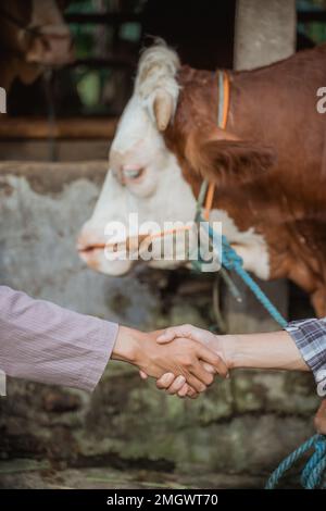 Ein Farmer-Händeschütteln mit dem moslem-Mann Stockfoto