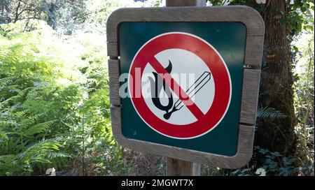 Kein offenes Feuer Brandsymbol im Außenparkbereich mit Holztafel Abgleichen mit Flamme in rot durchgestrichenem Kreis Stockfoto