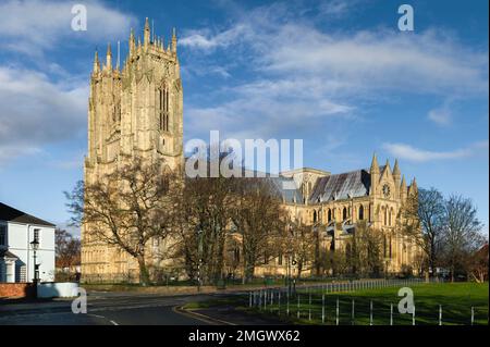 Die alte Minster (Kirche) an einem hellen, sonnigen Tag, flankiert von Bäumen und unter blauem Himmel mit Wolken im Winter in Beverley, Yorkshirte, Großbritannien. Stockfoto