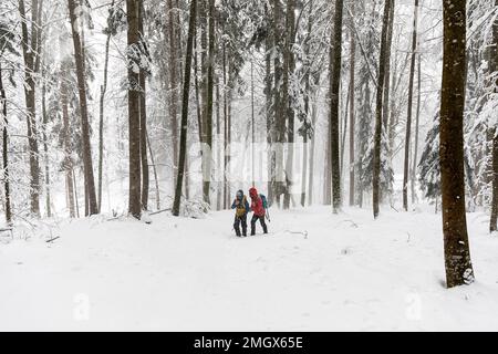 Mutter und Sohn Wandern im Urwald Kocevski rog nach Schneesturm, Neuschnee bedeckt Bäume und Landschaft, Kocevje, Dolenjska Region. Slowenien Stockfoto